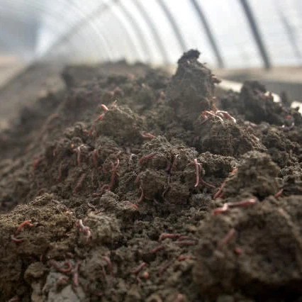 Earth Worm Granular Fertilizer